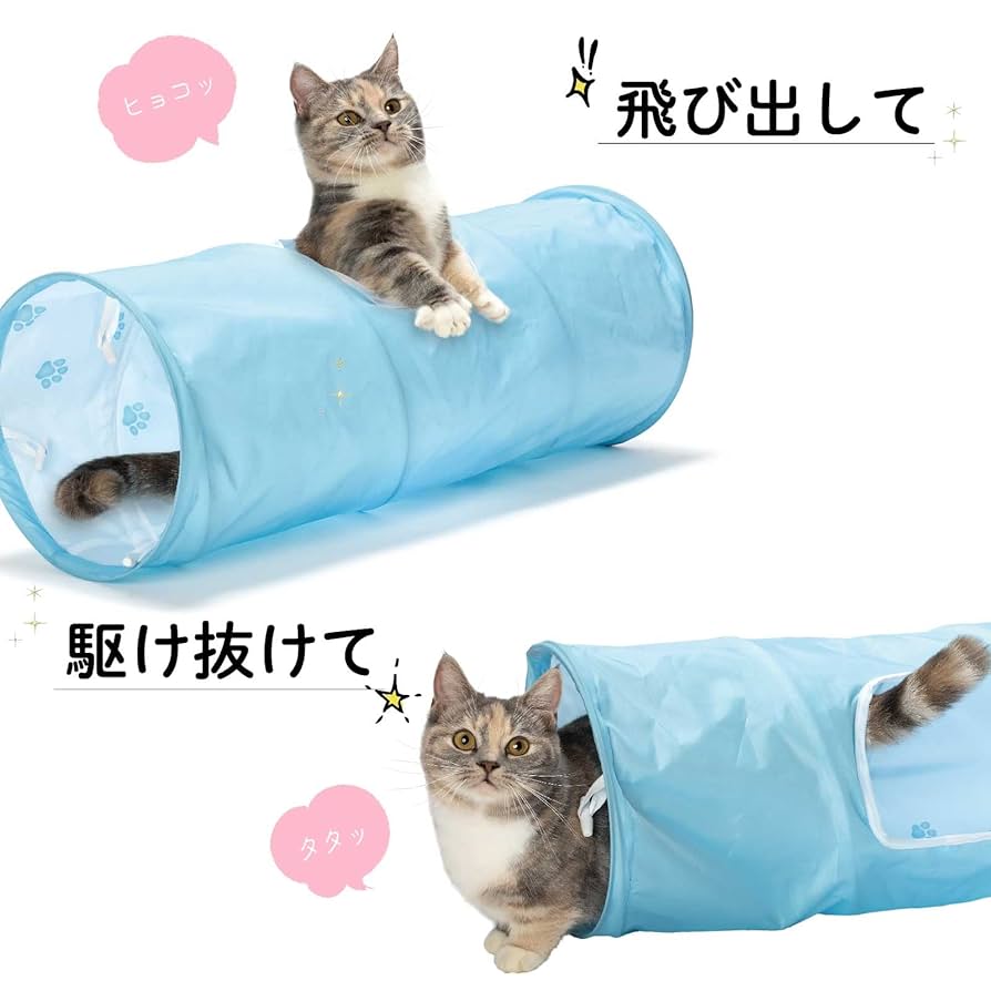 Amazon.co.jp: 猫壱 (necoichi) キャットトンネル (ブルー